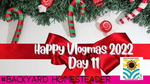 Vlogmas 2022 Day 11 | The Christmas spirit is a spirit of giving and forgiving♥