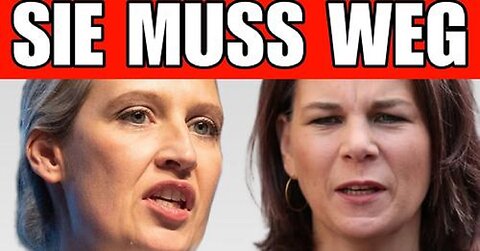 Alice Weidel (AfD) zerrupft die Deutsche Regierung!💥