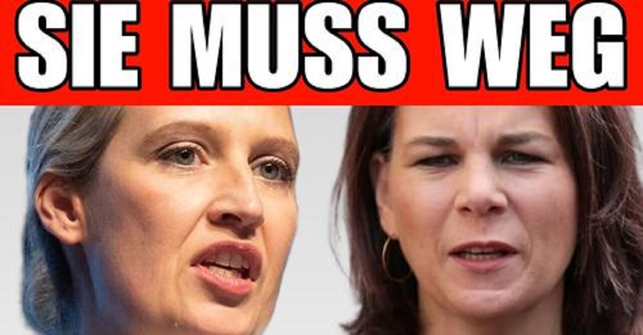 Alice Weidel (AfD) zerrupft die Deutsche Regierung!💥