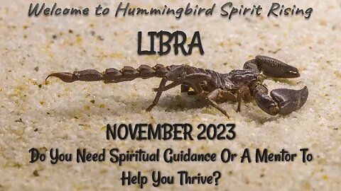 LIBRA November 2023 - Do You Need Spiritual Guidance Or A Mentor To Help You Thrive?