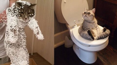 Funniest Cats & Dogs Life