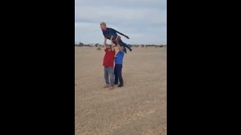 FLYING SUPERMAN DONALD TRUMP PLANE MODEL.