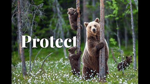 Wildlife Habitat and Rangeland Resources