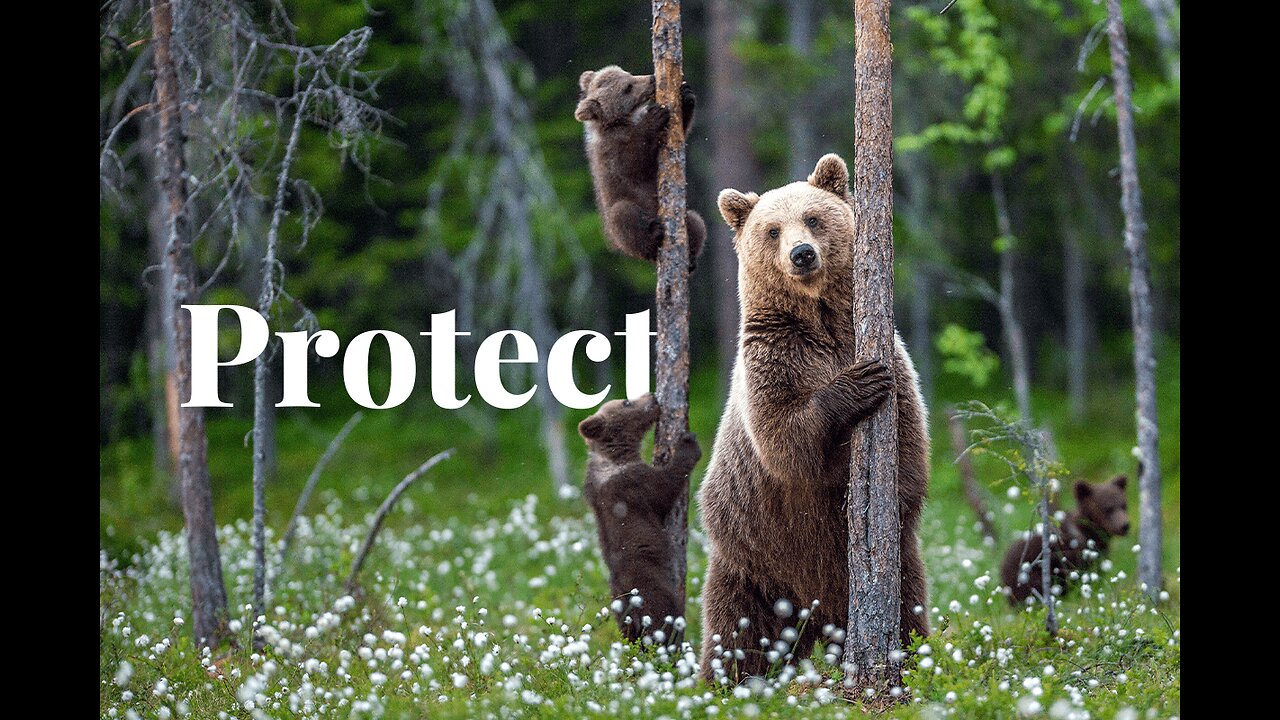 Wildlife Habitat and Rangeland Resources
