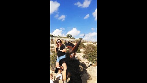 Falcon lands on woman's head at Blue Grotto!