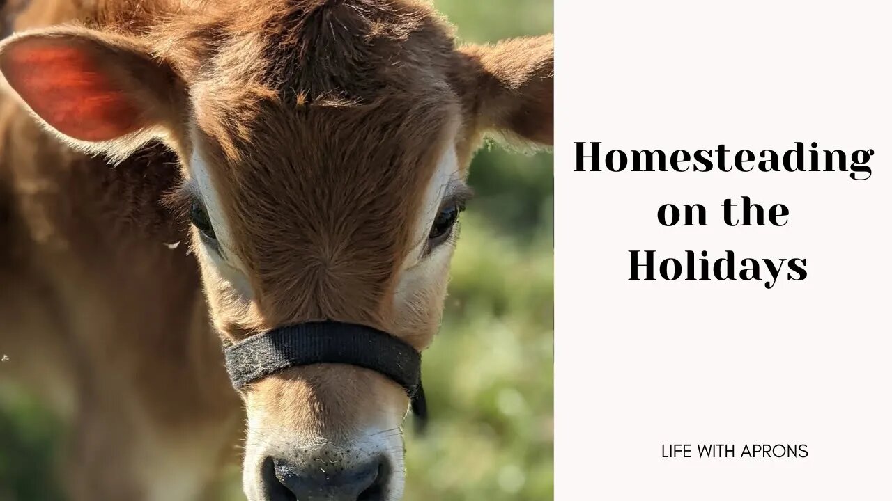Homesteading on the Holidays