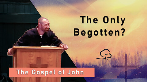 The Only Begotten?