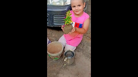 green tree