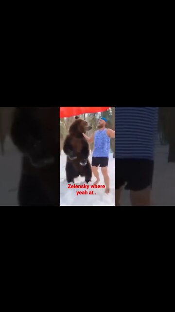 A Russian and bear looking for Zelensky.