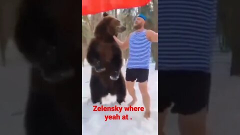 A Russian and bear looking for Zelensky.