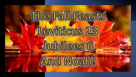 The Fall Festivals