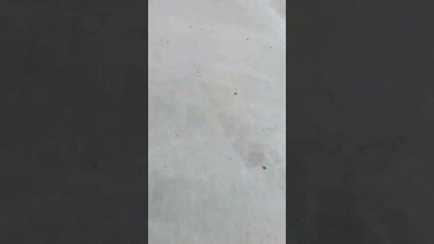 Let’s Skate ✌🏽