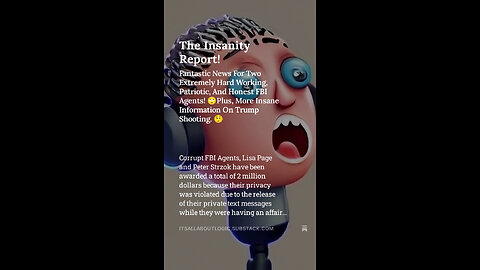 The Insanity Report! Fantastic News For Two Extremely Hard Working, Patriotic, And Honest FBI Agents