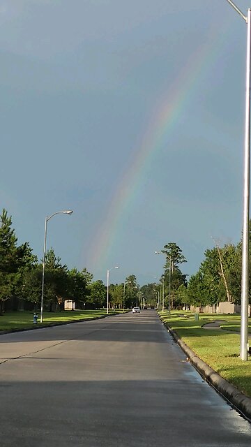 it's Rainbow 🌈 time