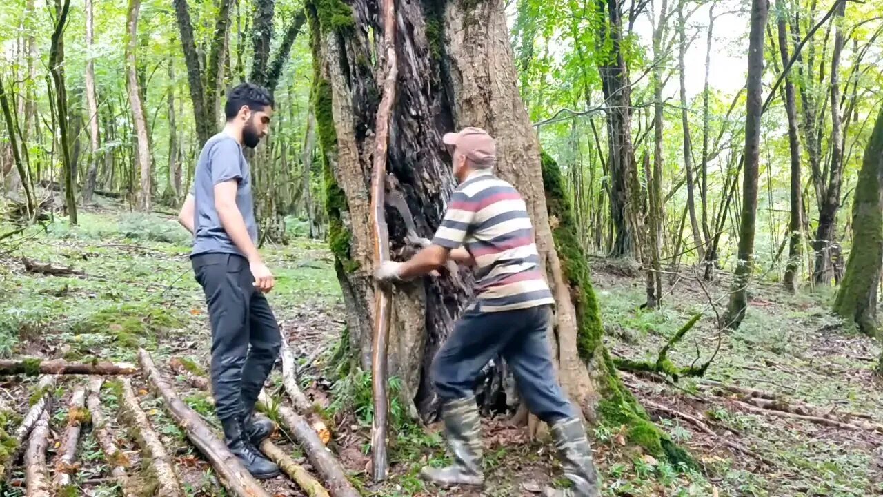 (Secret survival refuge)7