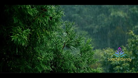 Rainforest-Night-Rain-Thunder-2-Hour-Relaxation