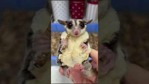 эти приколы искали все / приколы 2022 / приколы 2022 тик ток / тик ток приколы смотреть