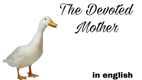 the devoted mother,the devoted mother story,