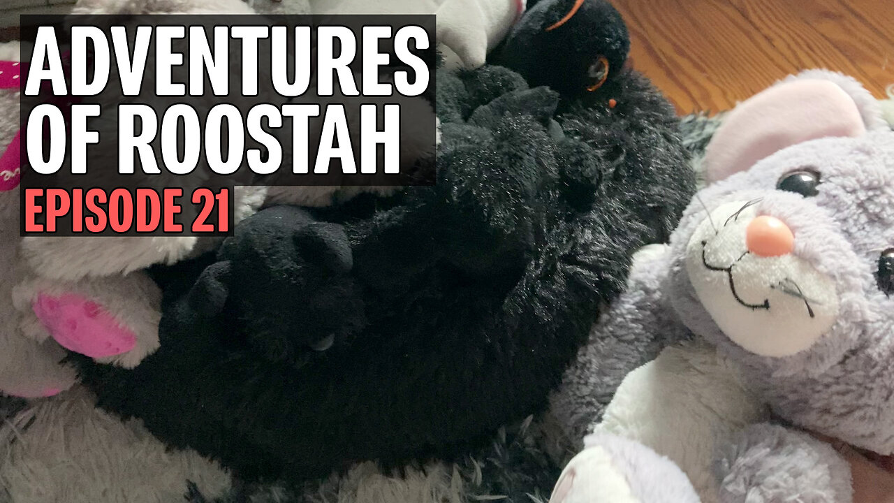 The Adventures of Roostah (episode 21) : Roostah Goes to Work at the Feet Factory