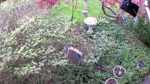 1_WEST_FLOODLIGHT_VIDEO_CAM_2023-04-07T09_44_55-0400.mp4