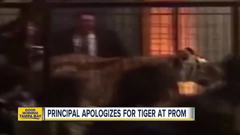 Principal apologizes for tiger at prom