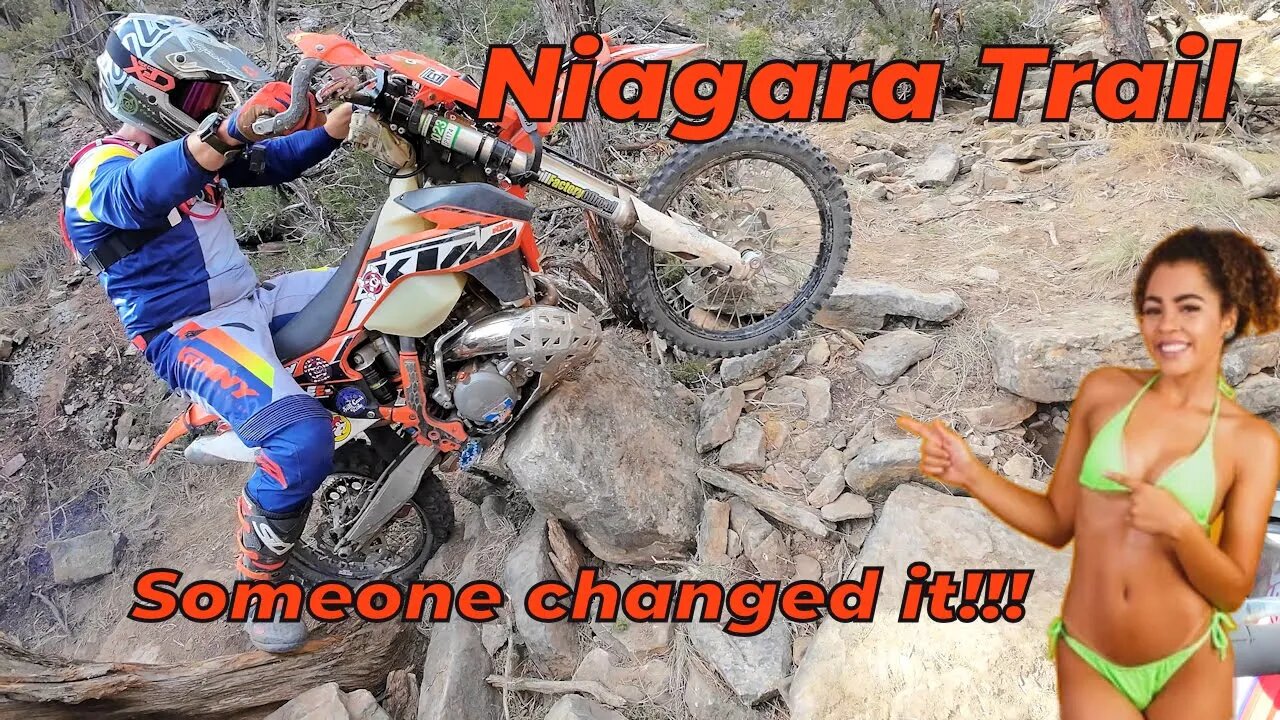 Niagara Trail has some changes so I'm bringing you the whole thing again!