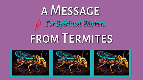 A Message to Spiritual Workers from Termites