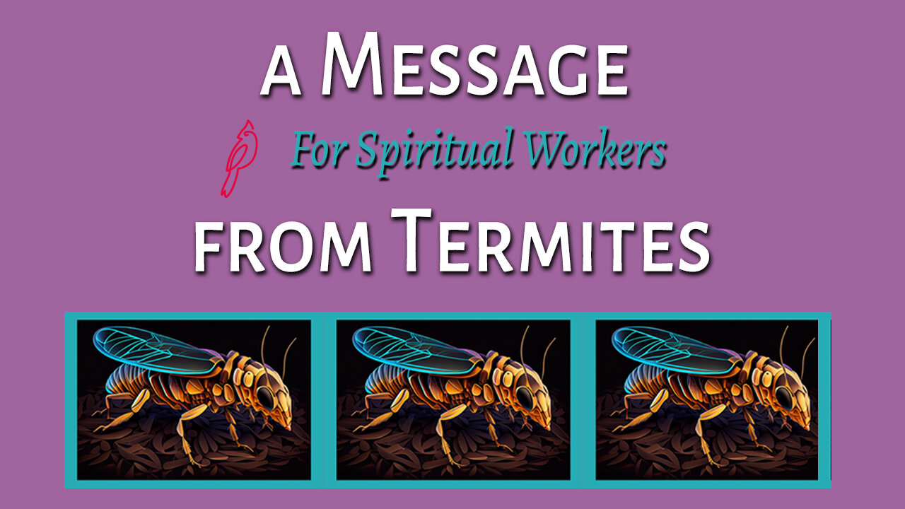 A Message to Spiritual Workers from Termites