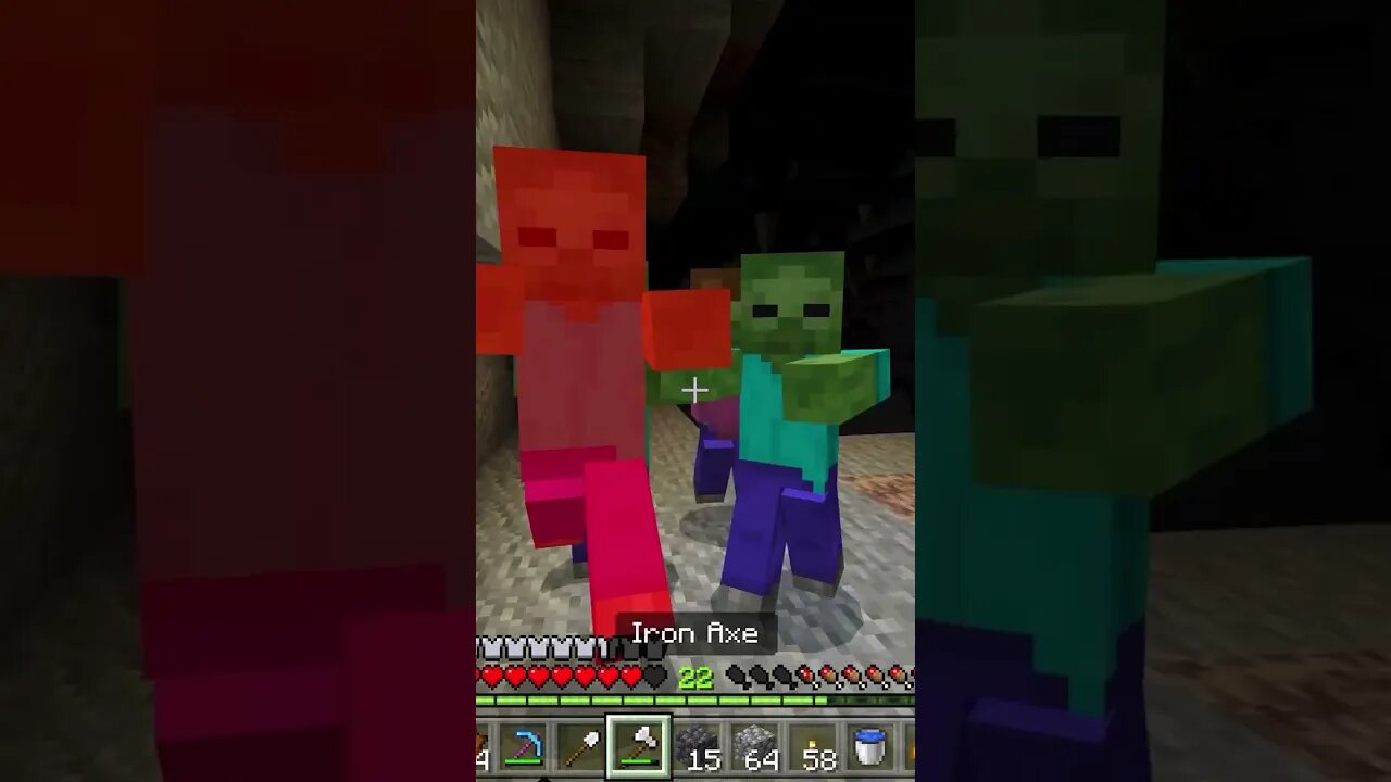 Doesn't Even Listen | Minecraft #shorts