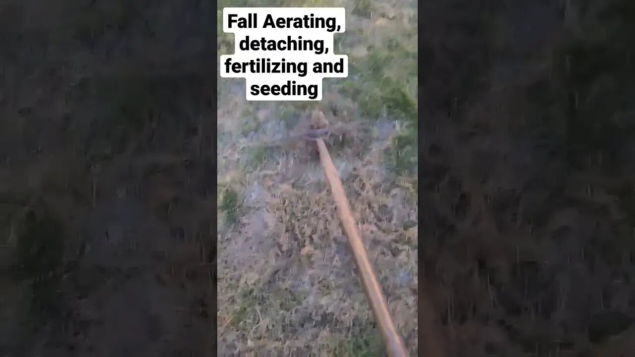 fall Seeding and fertilizing #leafitalone