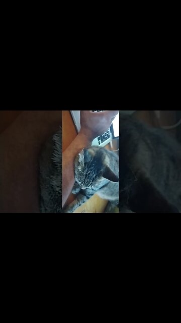 George uses my arm as a pillow