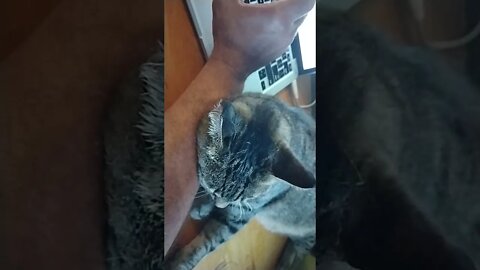 George uses my arm as a pillow