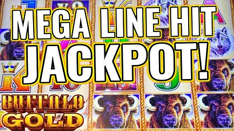 THAT WAS BETTER THAN THE BONUS! 🦬 MASSIVE BUFFALO GOLD LINE HIT JACKPOT!