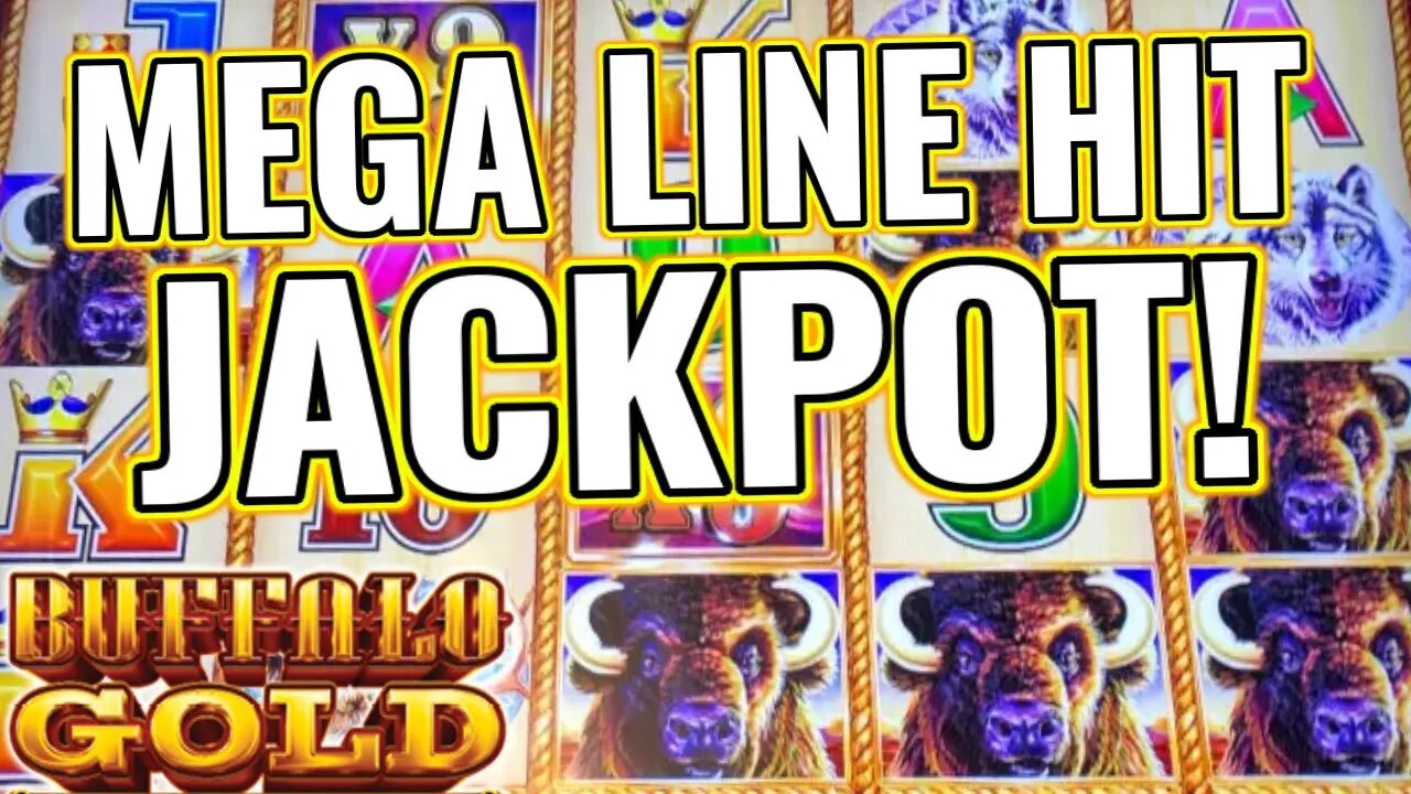 THAT WAS BETTER THAN THE BONUS! 🦬 MASSIVE BUFFALO GOLD LINE HIT JACKPOT!