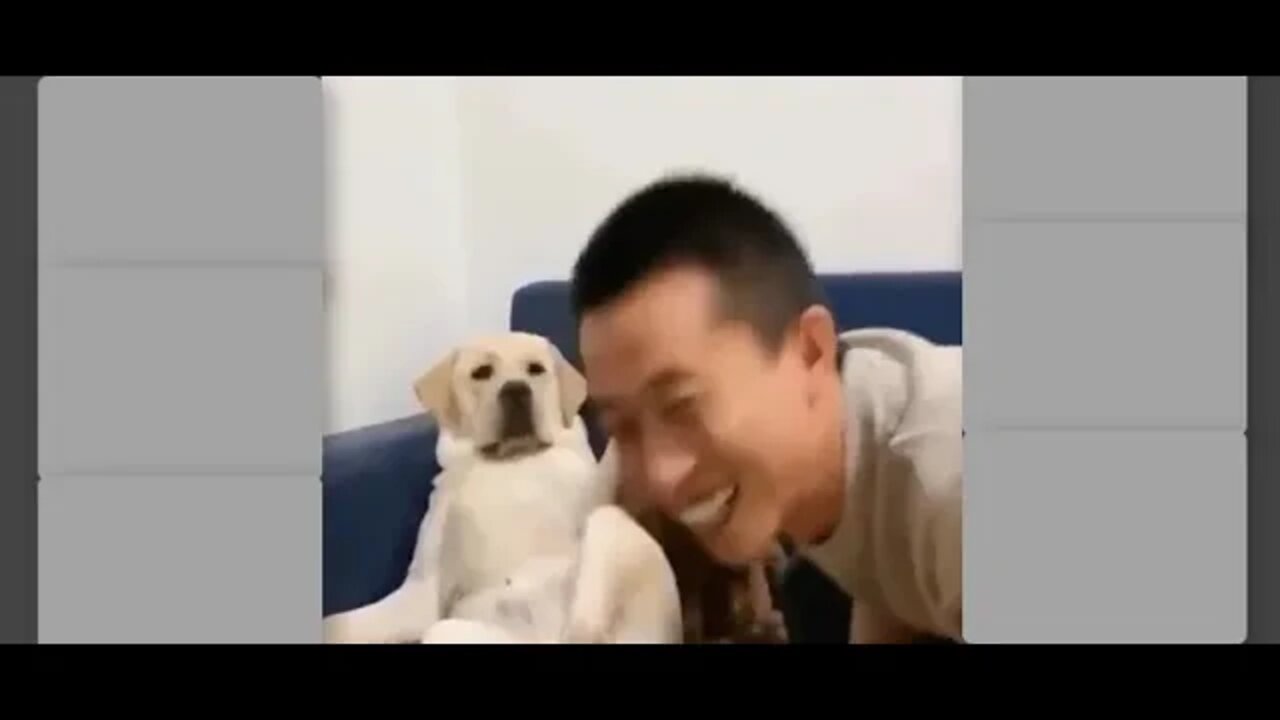 Top Funny Cat Videos Of The Week - Try Not To Laugh 1, Funny cute pets lovers, 😀😀