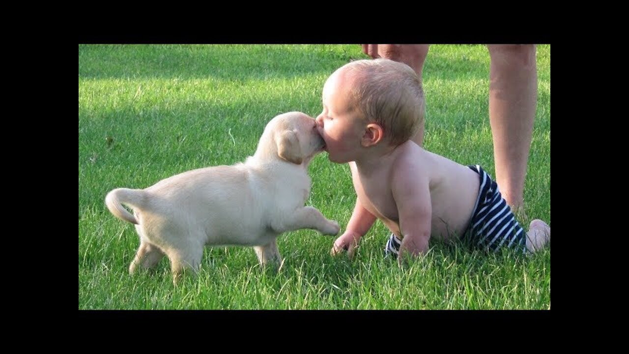 Black Cute Puppies and Baby Playing Together Compilation