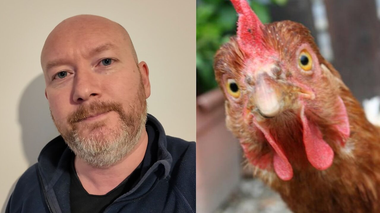 BREAKING THE LAW 😨 A step too far?