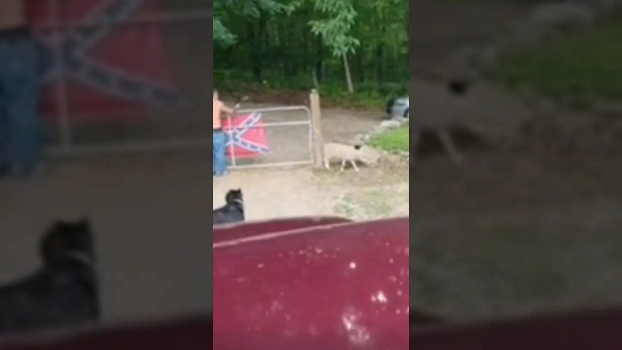 cops doing cop things