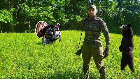Turkey Hunting Northern PA