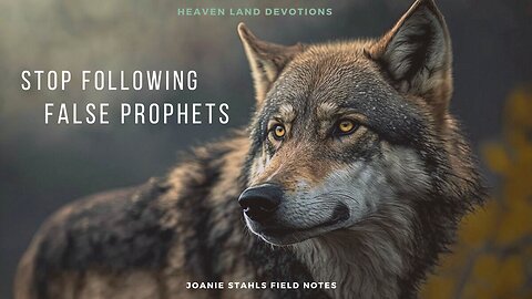 Heaven Land Devotions - Stop Following False Prophets
