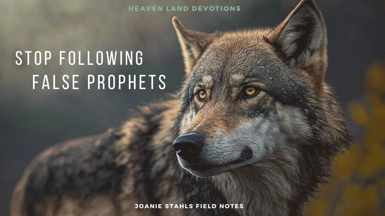 Heaven Land Devotions - Stop Following False Prophets