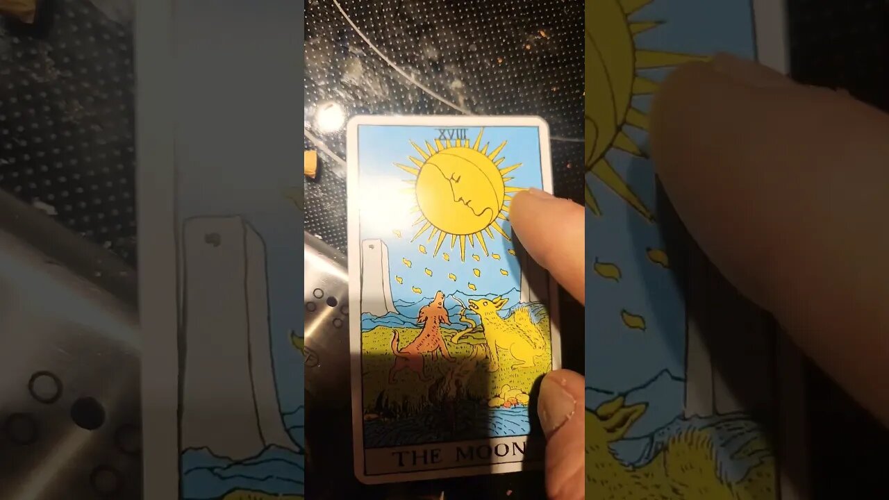 I WANT TO LEARN. CONNECT ALL VARIETY CONNECTIONS