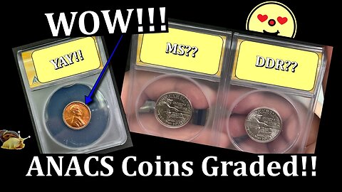 WOW! - ANACS Coins Graded!!