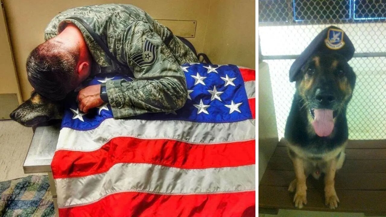 A Military Service Member Stays With His Terminally ill Dog until Final Moments Showing Loyalty