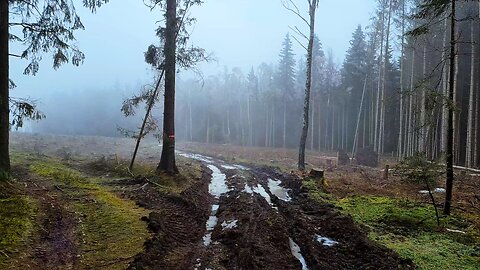 To The Lost Medieval Church In Fog - ASMR Medieval Walk In Fog No Music