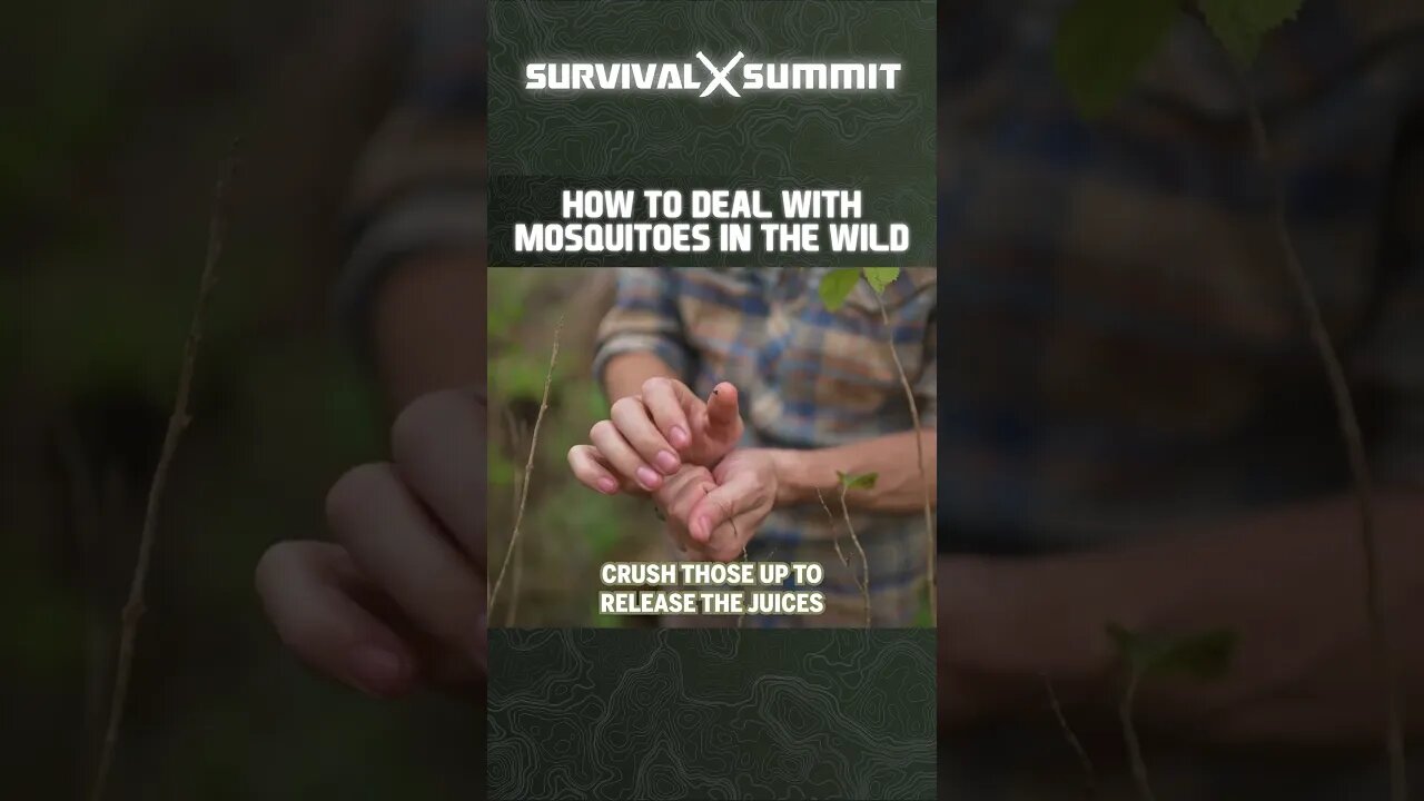 How to Deal with Mosquitoes in the Wild