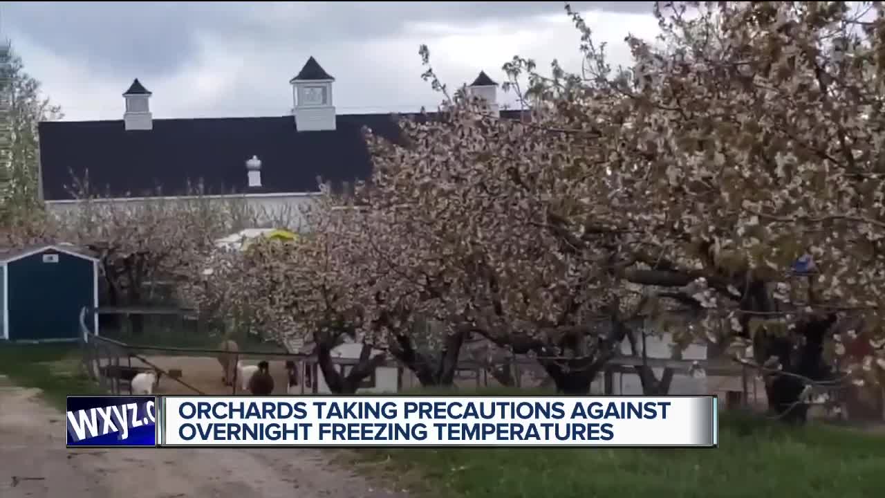 Orchards taking precautions against overnight freezing temperatures