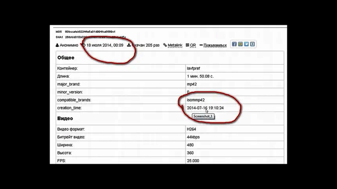 Evidence to Frame Russia For MH17 Shoot Down Fabricated?