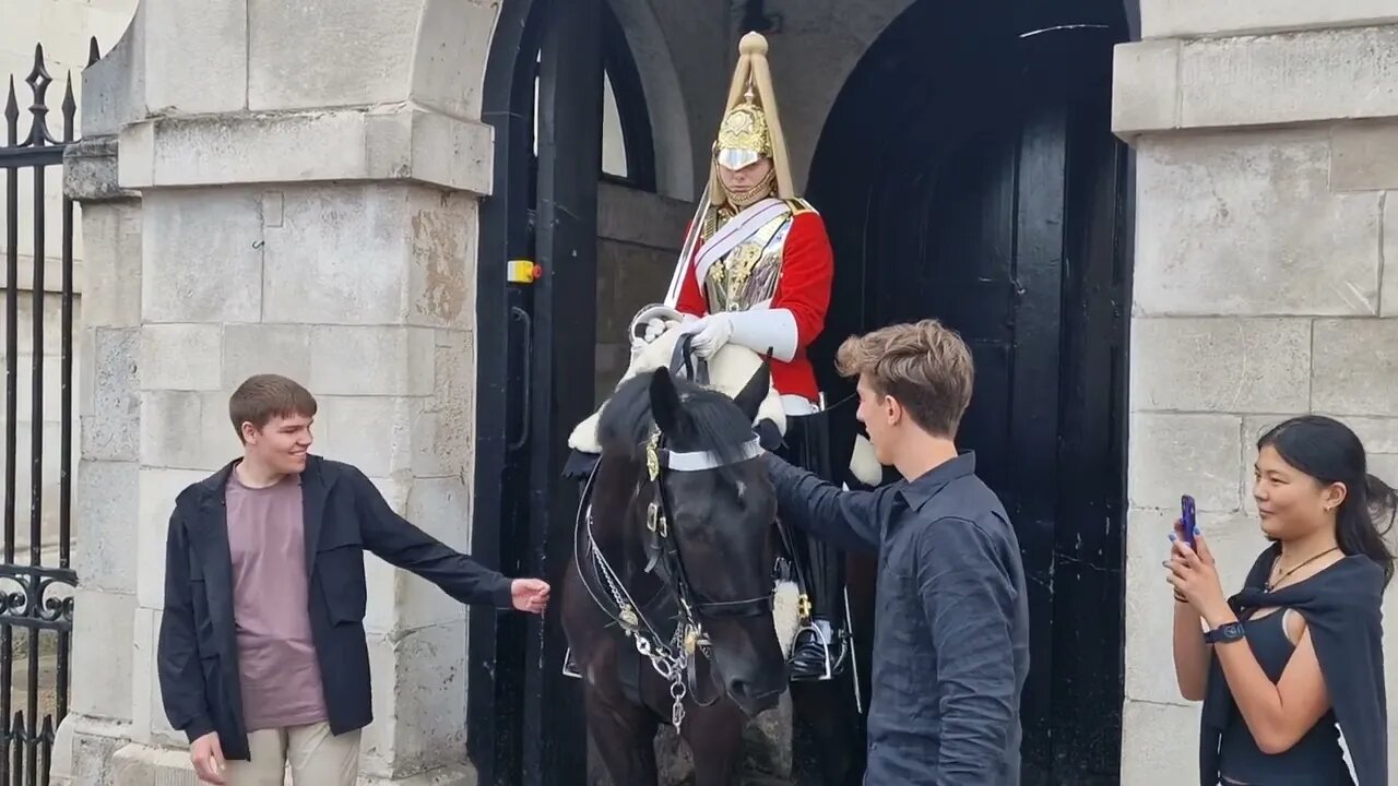 Hands on the reins #horseguardsparade