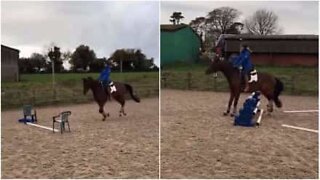 Even a tiny obstacle is too big for this horse!
